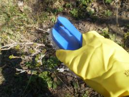 Egres Spring - mi köze a bokor, hogy a gazdag termés