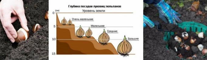 Egy szemléltető példa a diagram. Vett mirfermera.ru