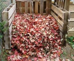 Hol lehet hasznosan használni lehullott levelek ősszel.