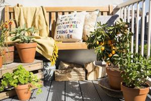 Hogyan lehet díszíteni egy kis erkély, növények és virágok. 9 hasznos megoldást.