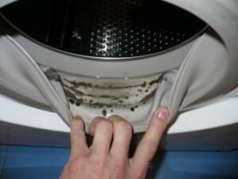 Hogyan lehet eltávolítani a dohos szag a mosógép