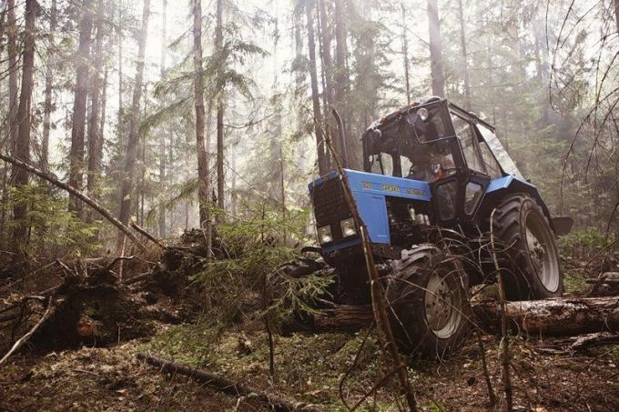 Fehéroroszország traktor az erdőben