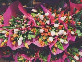Mi nőnek tulipánok ünnepelni március 8