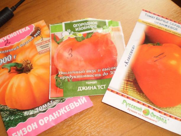 Közepes minőségű paradicsom: Bullish szív, Gina TST, Bison narancs