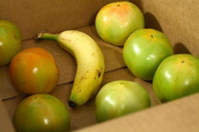 Banana egy doboz zöld paradicsom | Kertészet