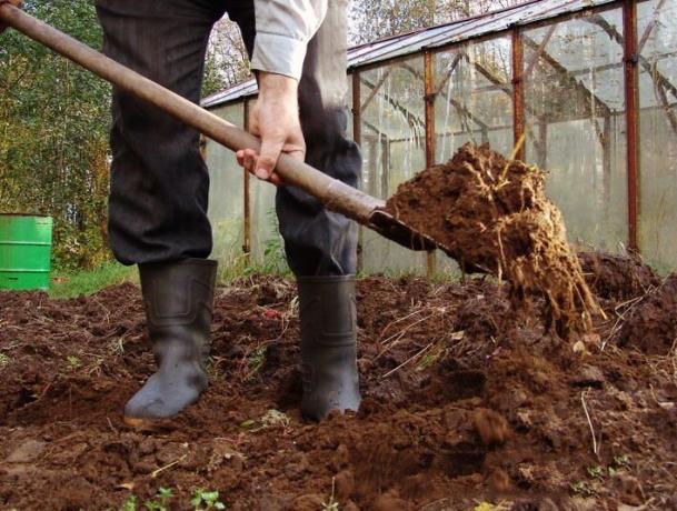Tavaszi ásni a talajt | ZikZak