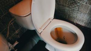 Hogyan lehet gyorsan és könnyen tisztítható fel a WC rozsda és sárga lepedék?
