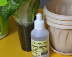 Stealth florist: hidrogén-peroxid palántákhoz és szobanövények