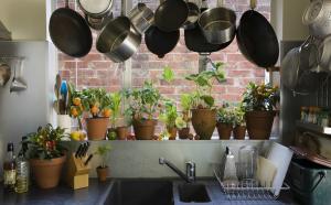 Hogy az eredeti és praktikus hozzá beltéri gyógynövények és a belső konyhában. 7 design tippek