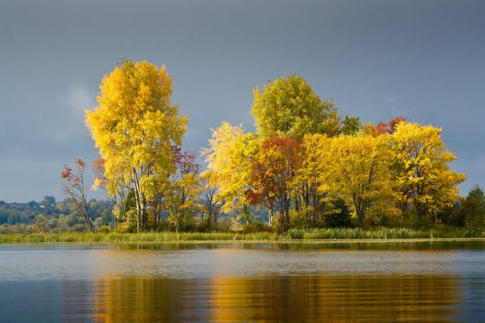 Október - nem csak a latyak, nedves láb és szitáló eső. Ez arany levelek, recsegő fagy és az első pohár levegőt. Lássuk a jó! Fotó: Yandex. képek
